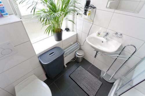 Apartamentos Elisabeth Br�u