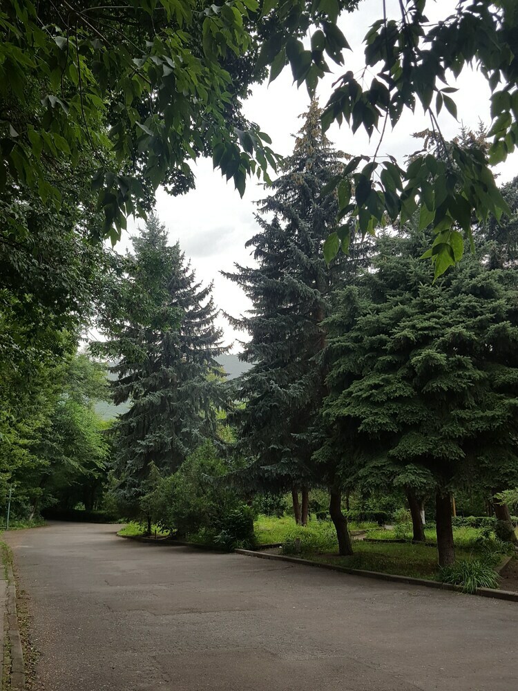 Apartamento Vanadzor Armenia Health Resort