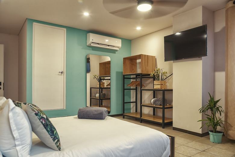 Hostal Mayan Monkey Los Cabos - Hostel - Adults Only