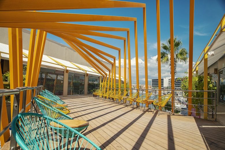 Hostal Mayan Monkey Los Cabos - Hostel - Adults Only