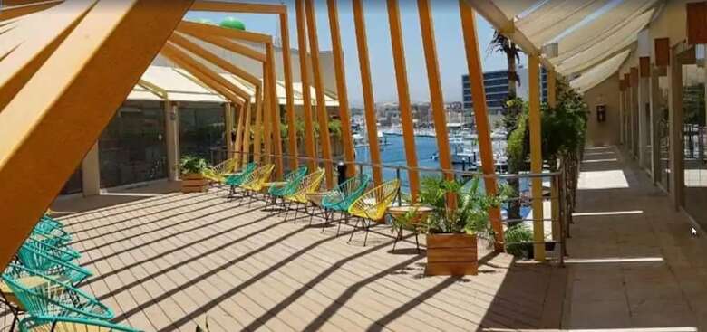 Hostal Mayan Monkey Los Cabos - Hostel - Adults Only