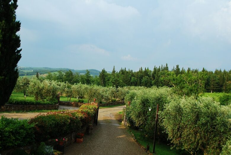 Bed & Breakfast B B Le Querciole