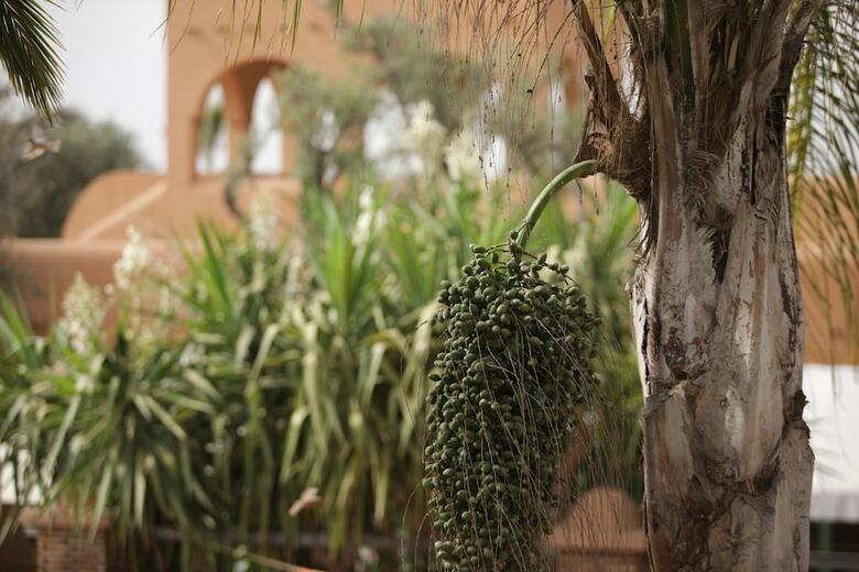 Hotel Dar Gonzo Resort & Spa