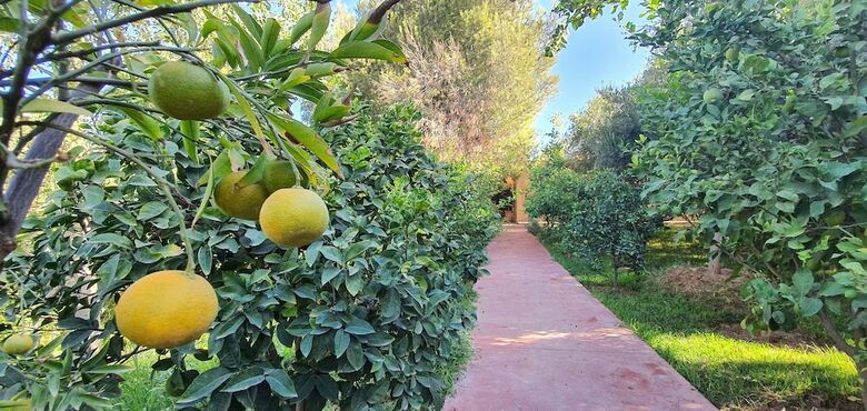 Hotel Dar Gonzo Resort & Spa