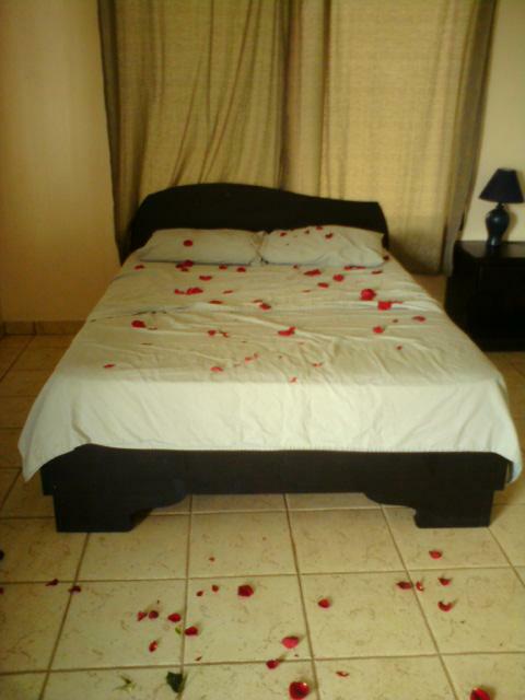 Blue Palm Hotel
