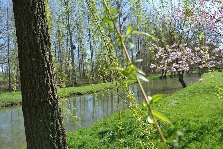 Bed & Breakfast Le Moulin De Vrin