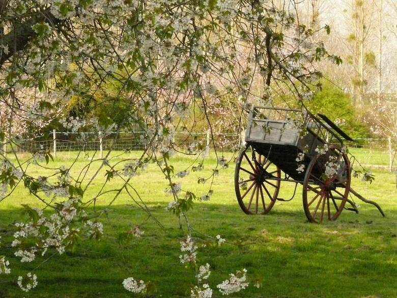 Bed & Breakfast Le Moulin De Vrin