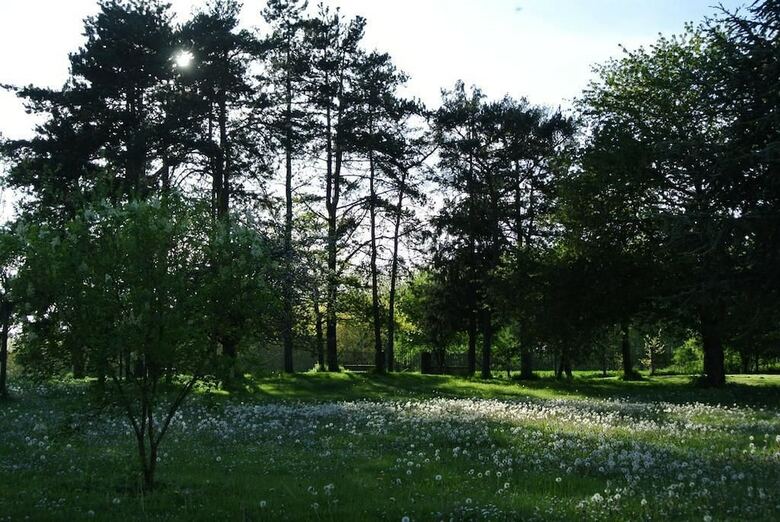 Bed & Breakfast Le Moulin De Vrin