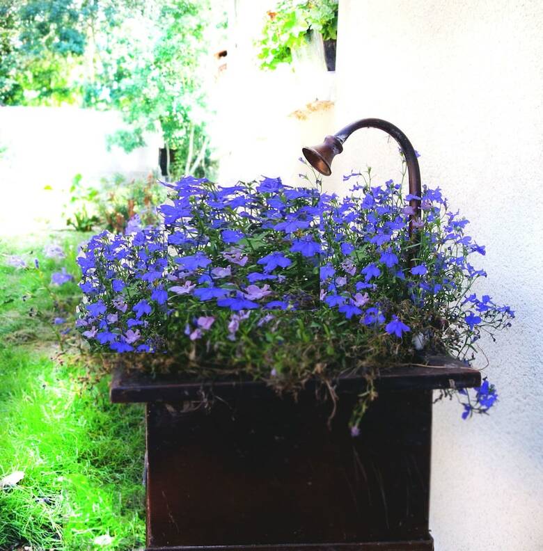 Bed & Breakfast Le Moulin De Vrin