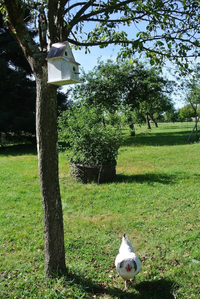 Bed & Breakfast Le Moulin De Vrin
