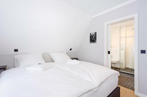 Hostal Logierhaus Rheintoreins
