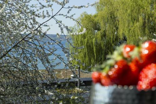Hotel Pilgerhof Und Rebmannshof
