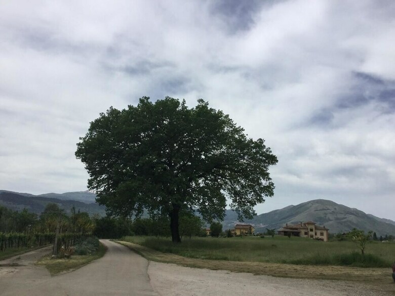 Agroturismo La Fonte