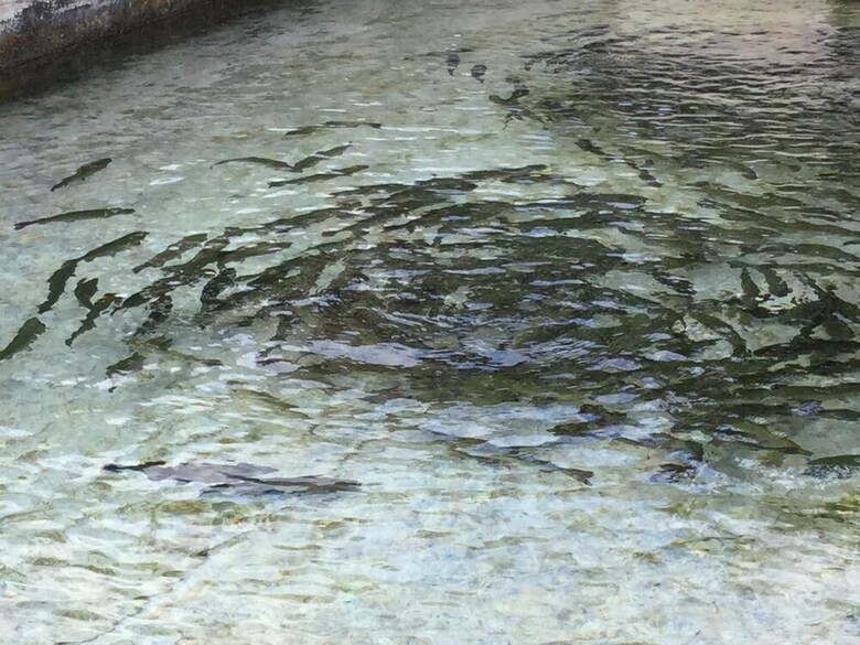 Agroturismo La Fonte