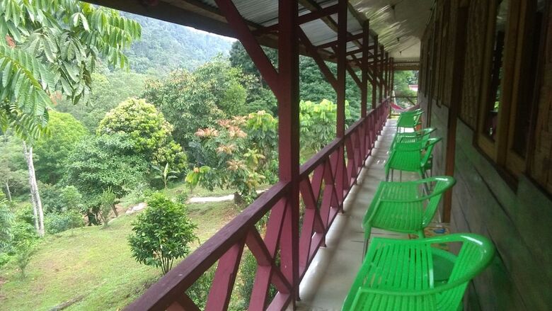 Hotel Green Forest Tangkahan