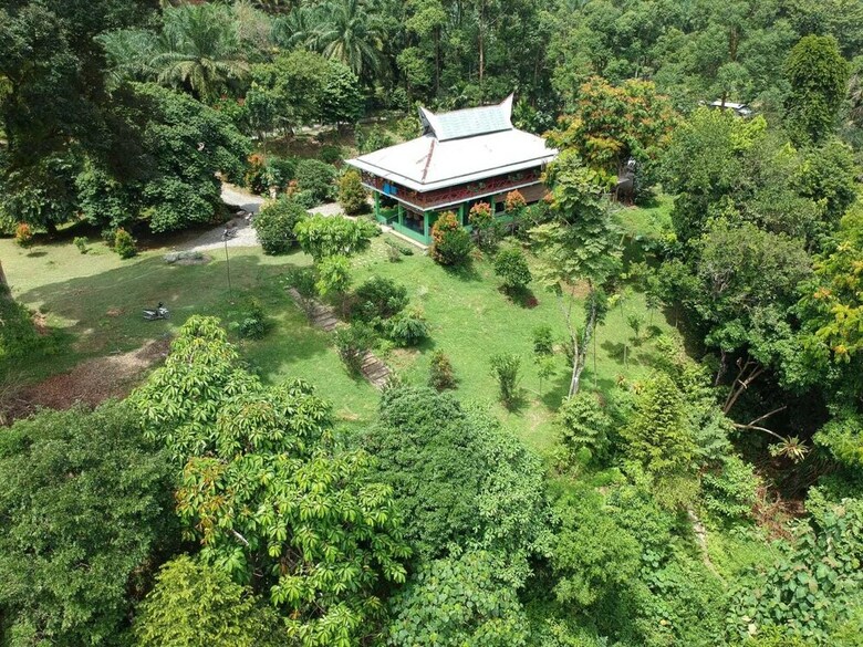 Hotel Green Forest Tangkahan