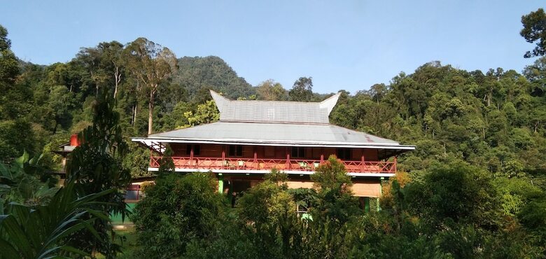 Hotel Green Forest Tangkahan