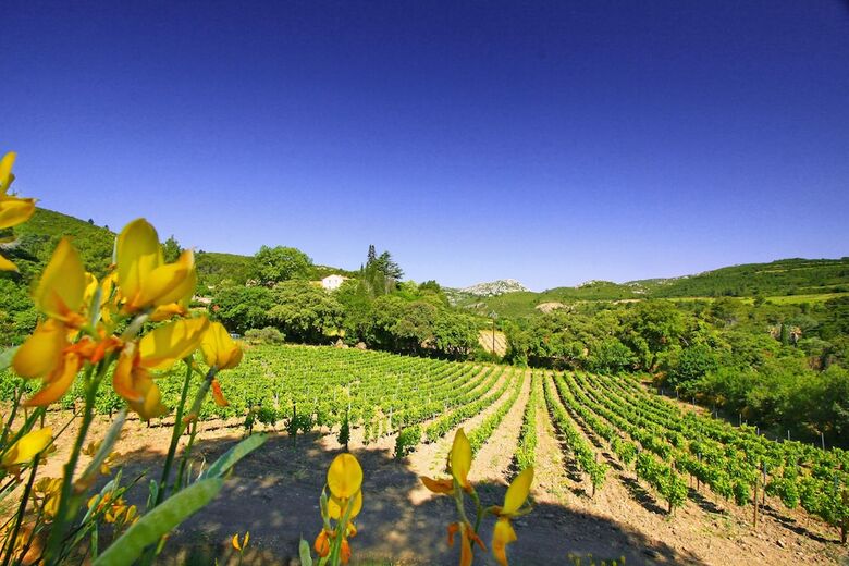 Bed & Breakfast Ch�teau Haut Gl�on - Chambres D'h�tes