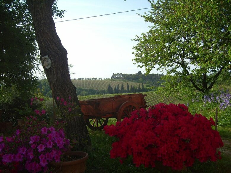B&B Il Giglio Etrusco