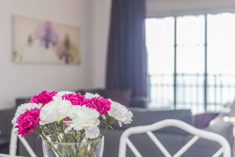 Apartamentos Beachfront 4br Big Groups Or 2 Families