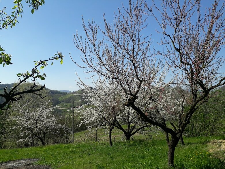 B&B Cascina Sant'elena