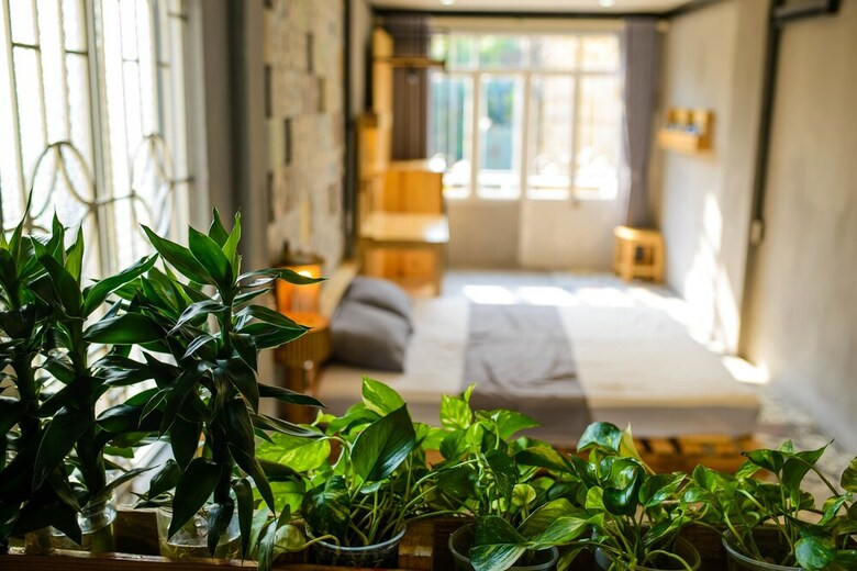 Hostal May Hostel