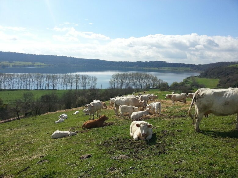 Agroturismo Agriturismo Il Castoro