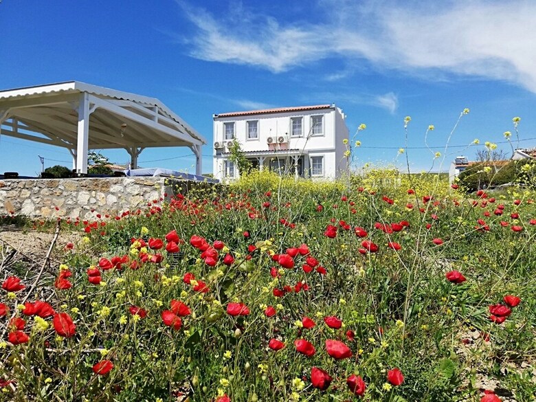 Elvin Butik Hotel