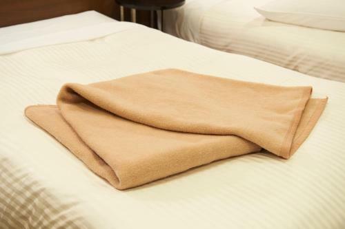 Hotel Sotetsu Fresa Inn Osaka-shinsaibashi
