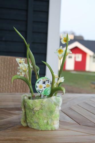 Ferienhaus Heimathafen