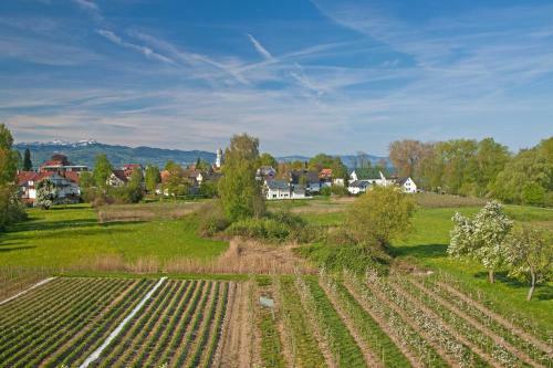 Hostal Hotel-restaurant Walserhof