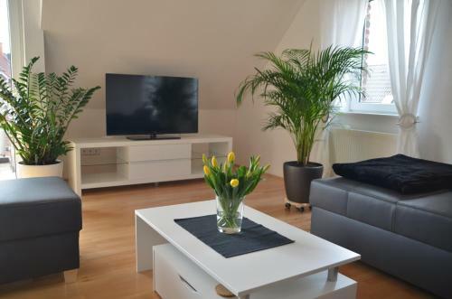 Apartamentos Bort Lodging