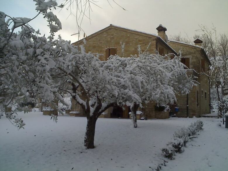 Bed & Breakfast La Casa Delle Rondini