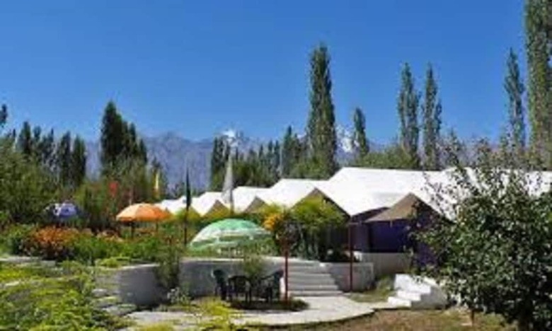 Tiger Camp