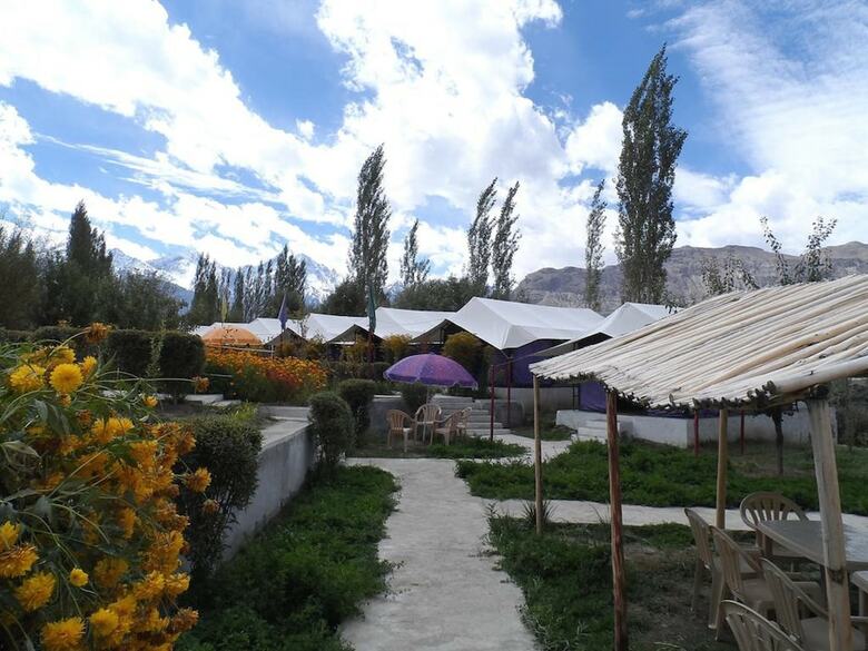 Tiger Camp