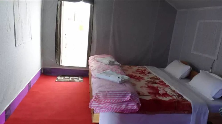 Tiger Camp