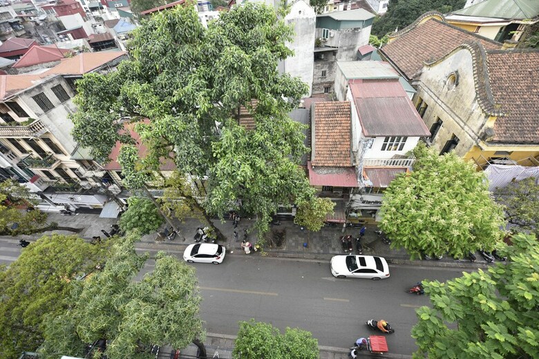 Hostal Ibiz City Hostel