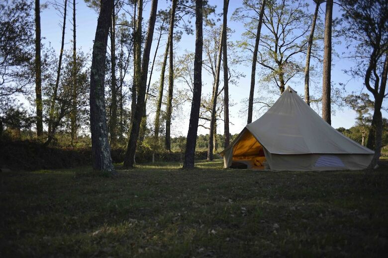 Hotel Ocean Shelter