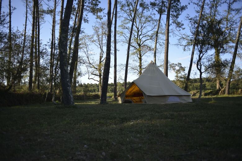 Hotel Ocean Shelter