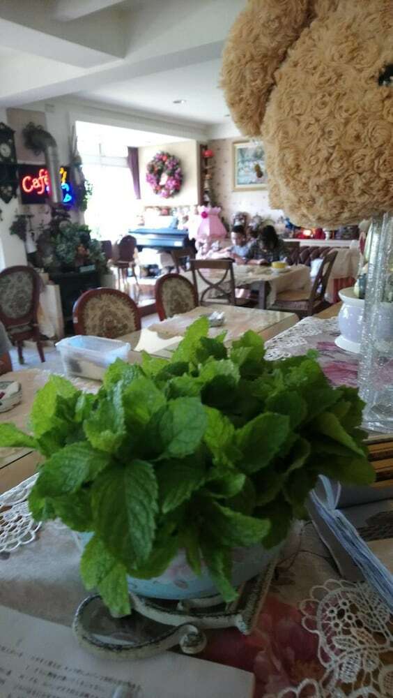 Bed & Breakfast Blissful Kingdom