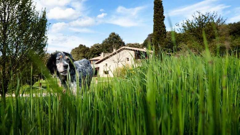 Agroturismo El Bosc Del Quer