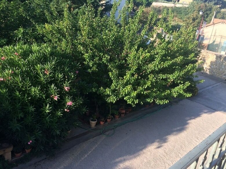 Bed & Breakfast Salvaterra