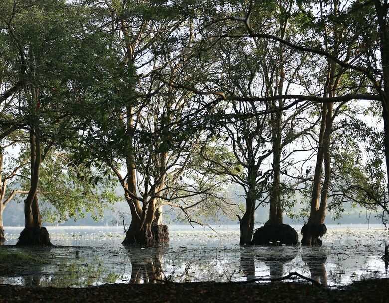 Hotel Kaveri Ayurveda Resort