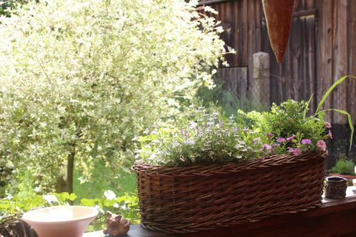 Apartamento Walnu�hof