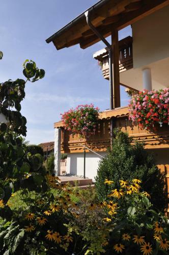 Hostal G�stehaus Angerer