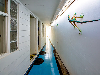 Hostal Lizard House