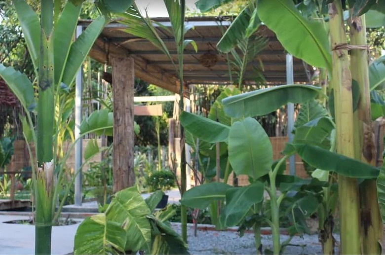 Hotel The Green Home