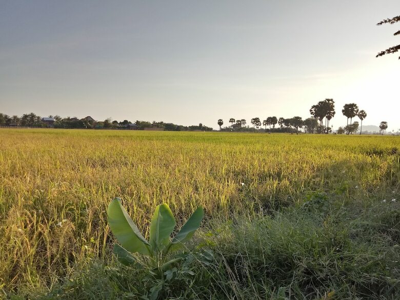 Hotel The Green Home