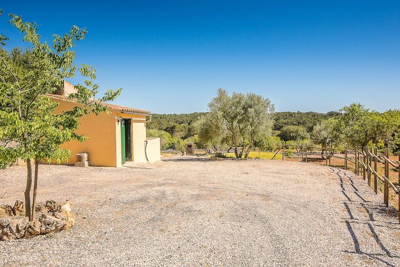 Villa Son Fornes