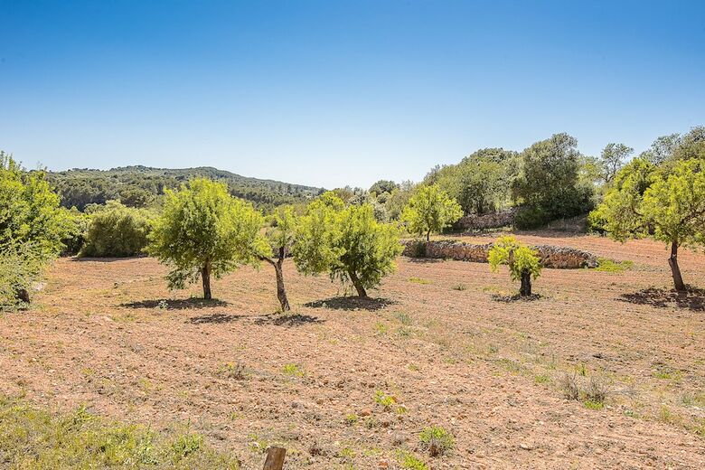 Villa Son Fornes